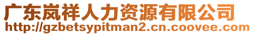 廣東嵐祥人力資源有限公司