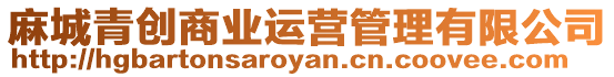 麻城青創(chuàng)商業(yè)運(yùn)營(yíng)管理有限公司