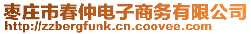 棗莊市春仲電子商務(wù)有限公司