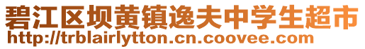 碧江區(qū)壩黃鎮(zhèn)逸夫中學(xué)生超市