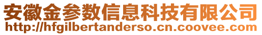 安徽金參數(shù)信息科技有限公司