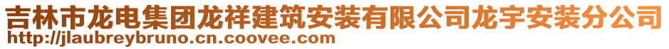 吉林市龍電集團(tuán)龍祥建筑安裝有限公司龍宇安裝分公司