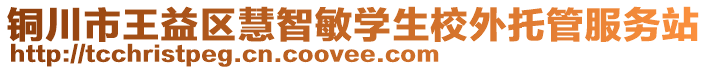 銅川市王益區(qū)慧智敏學生校外托管服務站