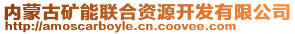 內(nèi)蒙古礦能聯(lián)合資源開發(fā)有限公司