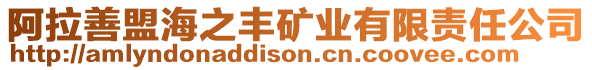 阿拉善盟海之豐礦業(yè)有限責(zé)任公司