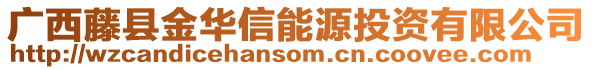 廣西藤縣金華信能源投資有限公司