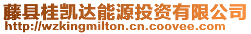 藤縣桂凱達能源投資有限公司