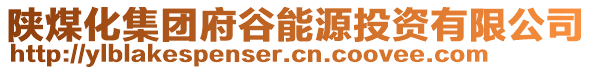 陜煤化集團府谷能源投資有限公司