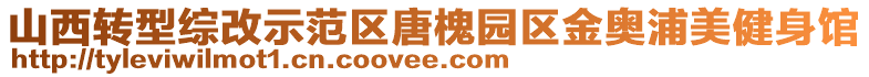 山西轉(zhuǎn)型綜改示范區(qū)唐槐園區(qū)金奧浦美健身館