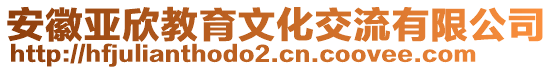 安徽亞欣教育文化交流有限公司