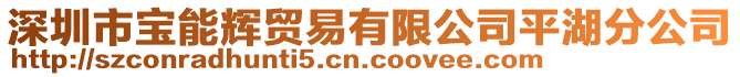 深圳市寶能輝貿(mào)易有限公司平湖分公司