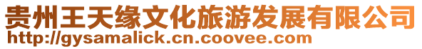 貴州王天緣文化旅游發展有限公司