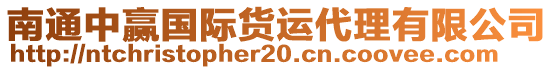 南通中贏國際貨運(yùn)代理有限公司