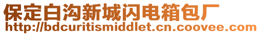 保定白溝新城閃電箱包廠
