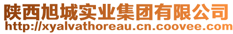 陜西旭城實業(yè)集團有限公司