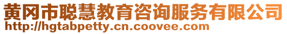 黃岡市聰慧教育咨詢服務有限公司