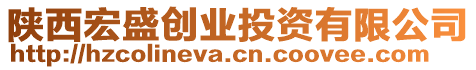 陜西宏盛創(chuàng)業(yè)投資有限公司