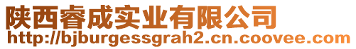 陜西睿成實(shí)業(yè)有限公司