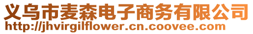 義烏市麥森電子商務(wù)有限公司