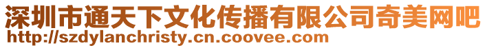 深圳市通天下文化傳播有限公司奇美網(wǎng)吧