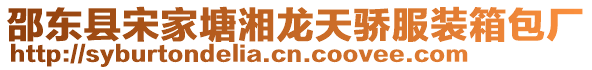 邵東縣宋家塘湘龍?zhí)祢湻b箱包廠