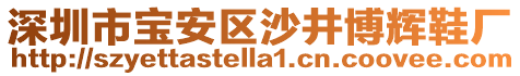 深圳市寶安區(qū)沙井博輝鞋廠