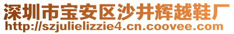 深圳市寶安區(qū)沙井輝越鞋廠