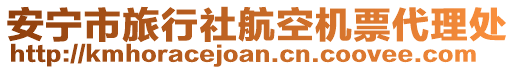 安寧市旅行社航空機票代理處