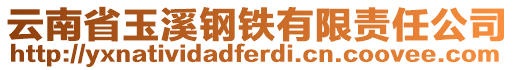 云南省玉溪鋼鐵有限責(zé)任公司