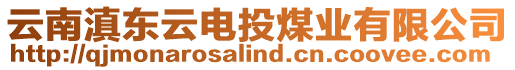 云南滇東云電投煤業(yè)有限公司