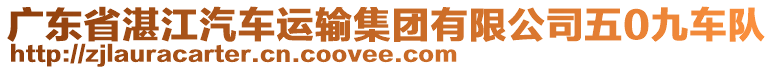 广东省湛江汽车运输集团有限公司五0九车队