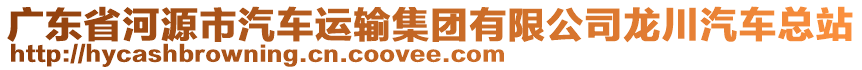 廣東省河源市汽車運輸集團有限公司龍川汽車總站