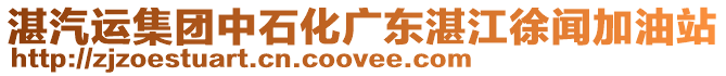 湛汽運集團中石化廣東湛江徐聞加油站