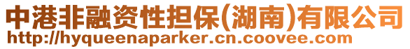 中港非融資性擔(dān)保(湖南)有限公司