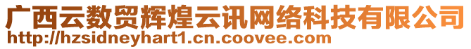 廣西云數(shù)貿(mào)輝煌云訊網(wǎng)絡(luò)科技有限公司