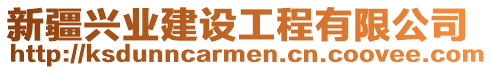 新疆興業(yè)建設(shè)工程有限公司