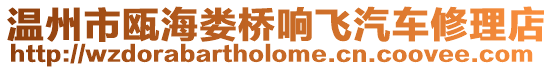 溫州市甌海婁橋響飛汽車修理店