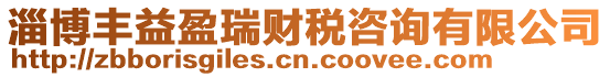 淄博豐益盈瑞財稅咨詢有限公司
