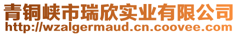 青銅峽市瑞欣實業(yè)有限公司