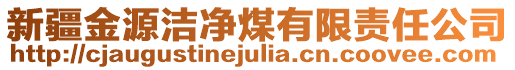 新疆金源潔凈煤有限責(zé)任公司