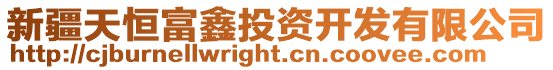 新疆天恒富鑫投資開發有限公司