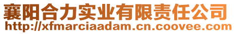 襄陽合力實業有限責任公司