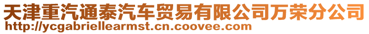 天津重汽通泰汽車貿(mào)易有限公司萬榮分公司