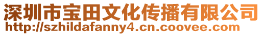 深圳市宝田文化传播有限公司