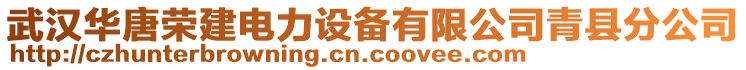 武漢華唐榮建電力設(shè)備有限公司青縣分公司