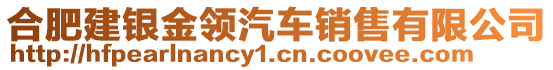 合肥建銀金領(lǐng)汽車(chē)銷(xiāo)售有限公司