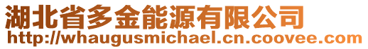 湖北省多金能源有限公司