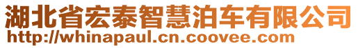 湖北省宏泰智慧泊車有限公司