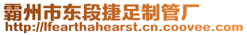 霸州市東段捷足制管廠