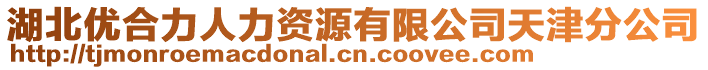 湖北優合力人力資源有限公司天津分公司